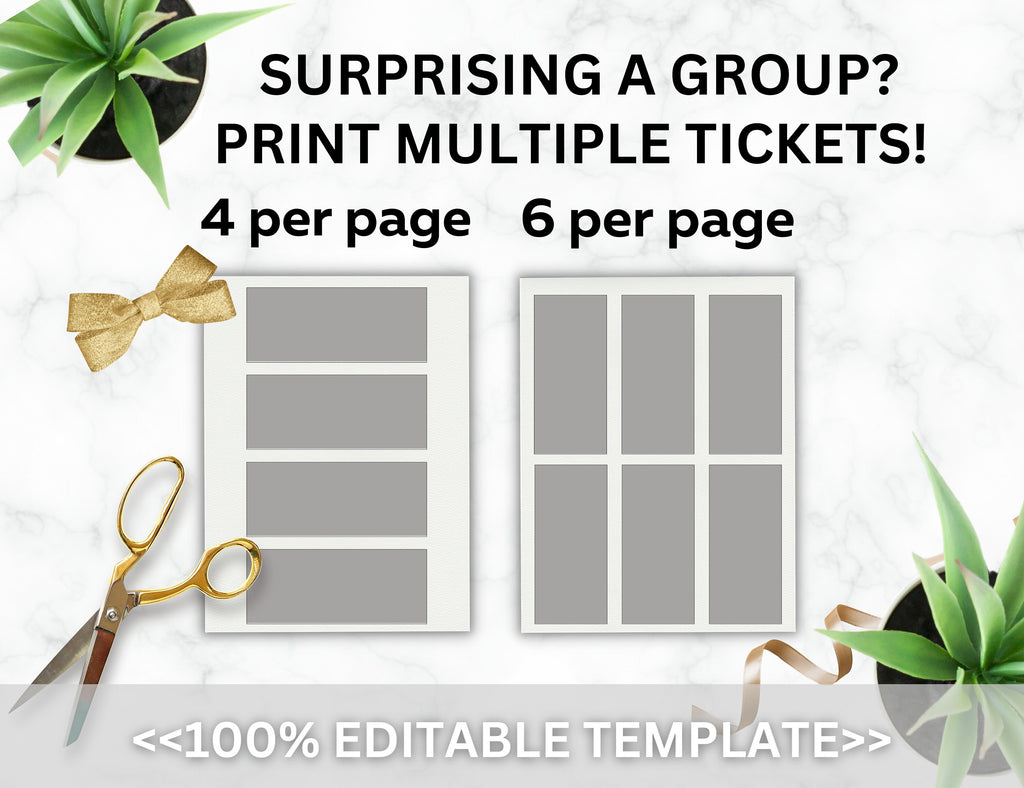Editable Japan Boarding Pass Template, Surprise Vacation Ticket (Canva, Digital Download)
