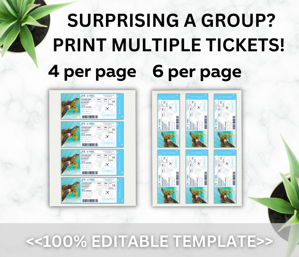Editable Hawaii Boarding Pass Template, Surprise Vacation (Digital Download)