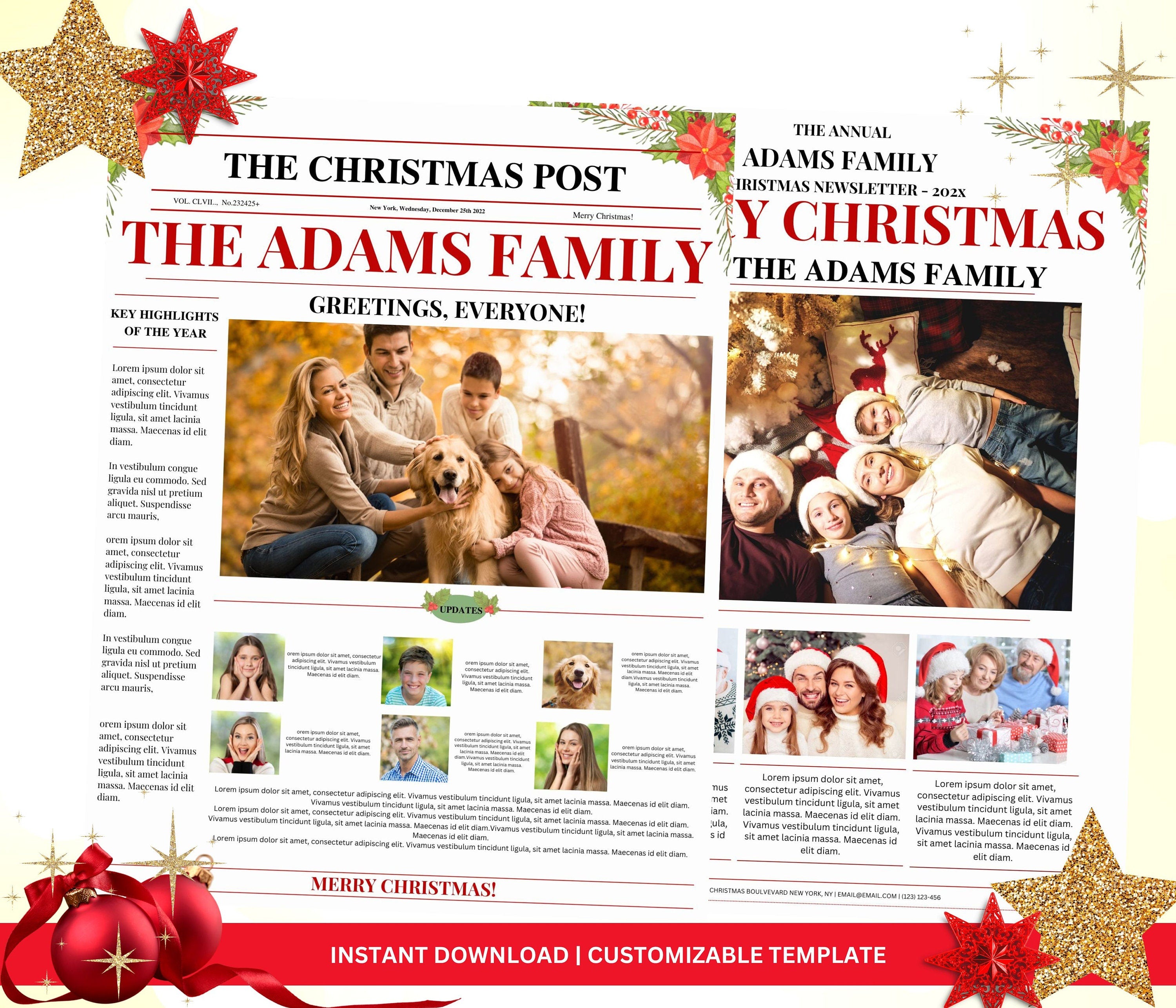 Family Christmas Newsletter Template, Editable Year In Review (Printable Template)
