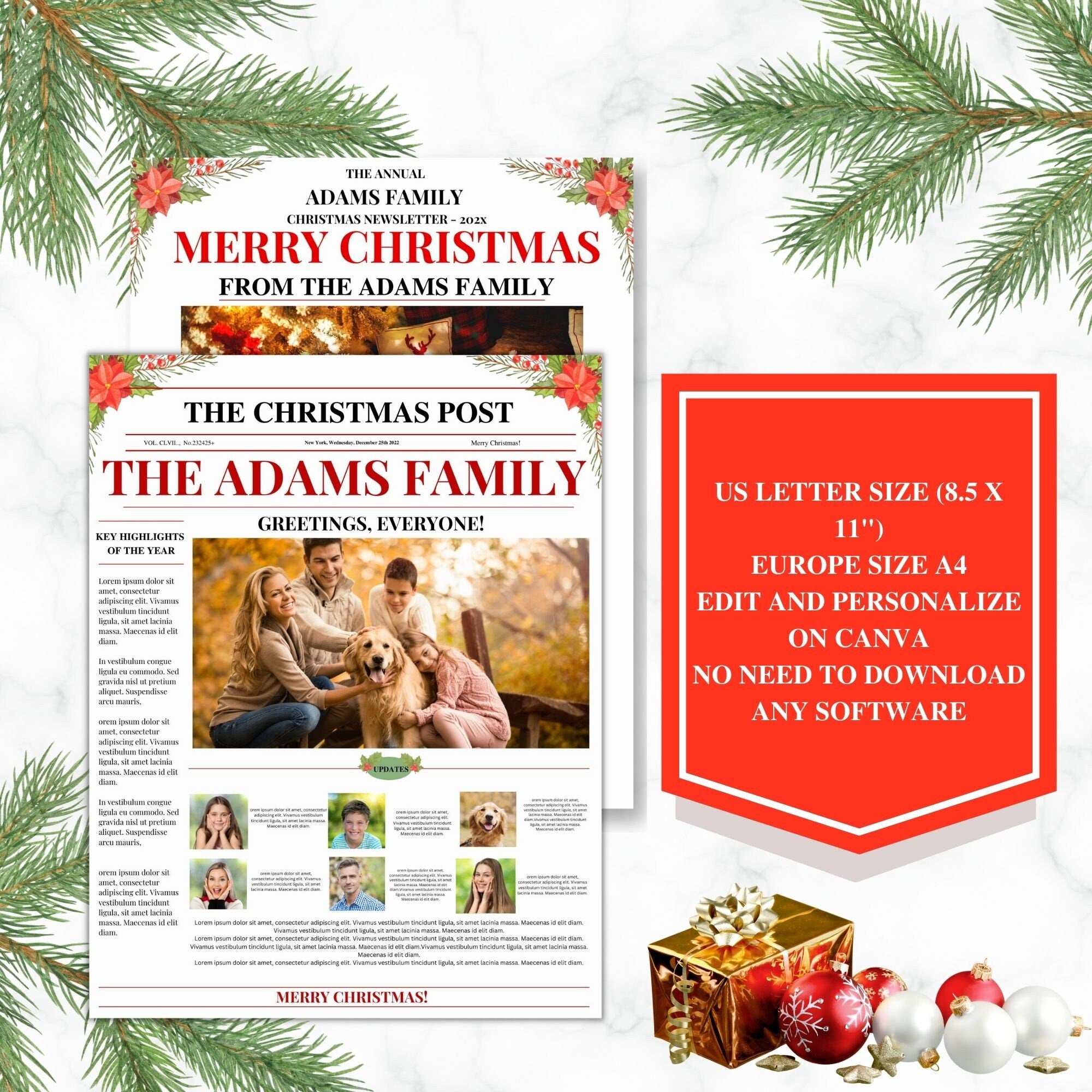 Family Christmas Newsletter Template, Editable Year In Review (Printable Template)