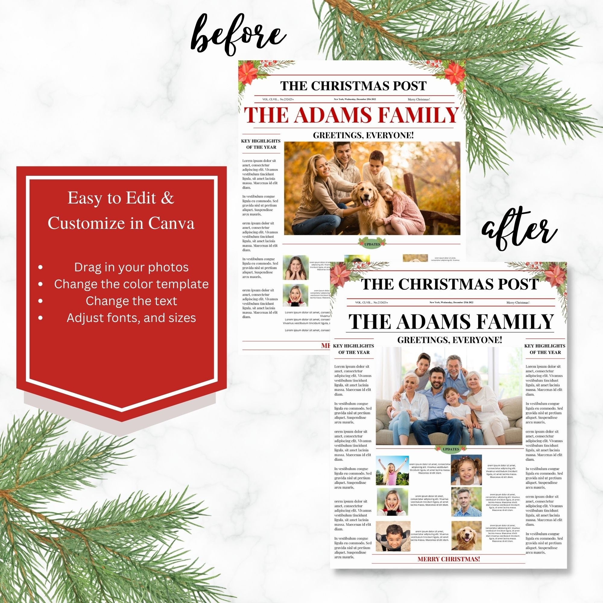 Family Christmas Newsletter Template, Editable Year In Review (Printable Template)