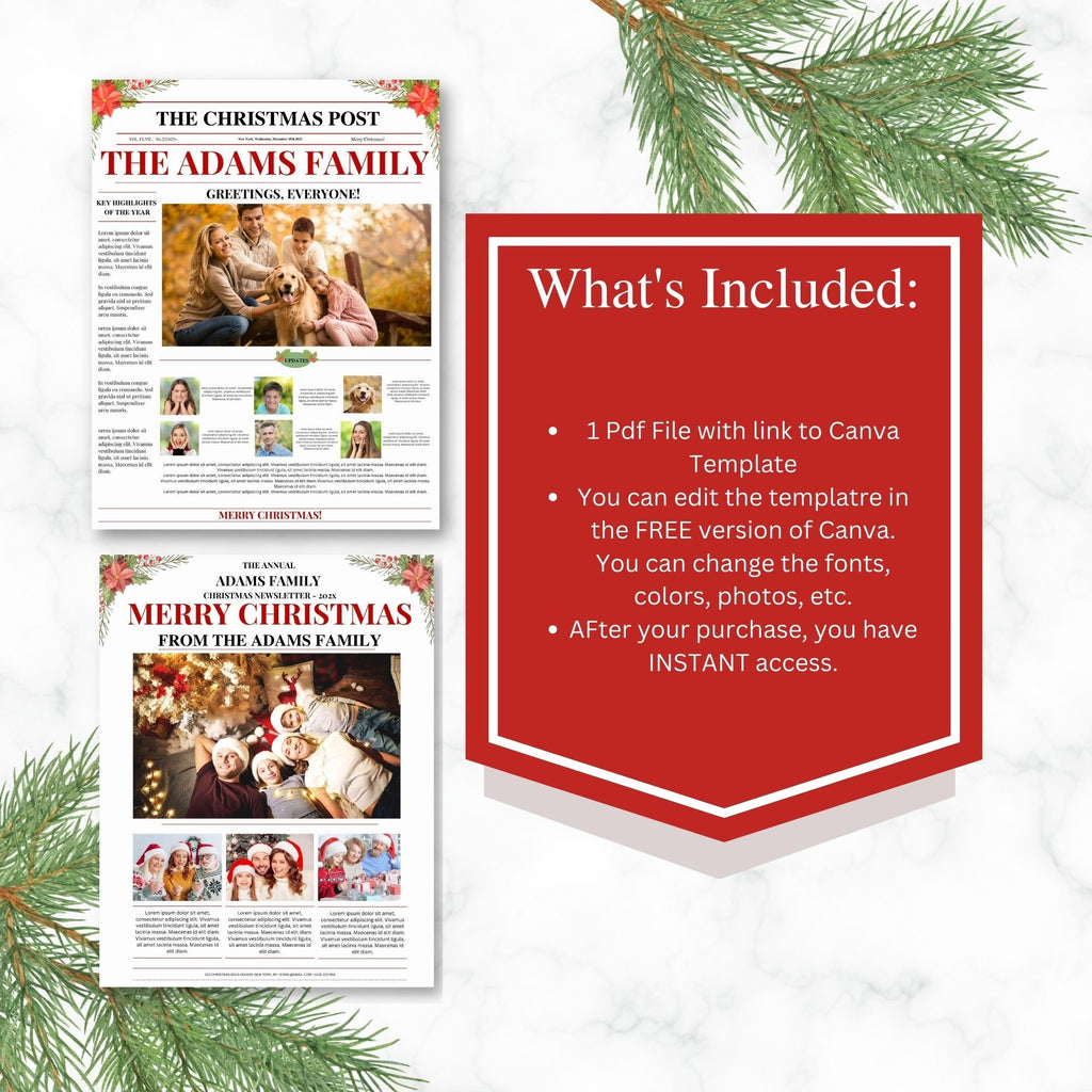 Family Christmas Newsletter Template, Editable Year In Review (Printable Template)