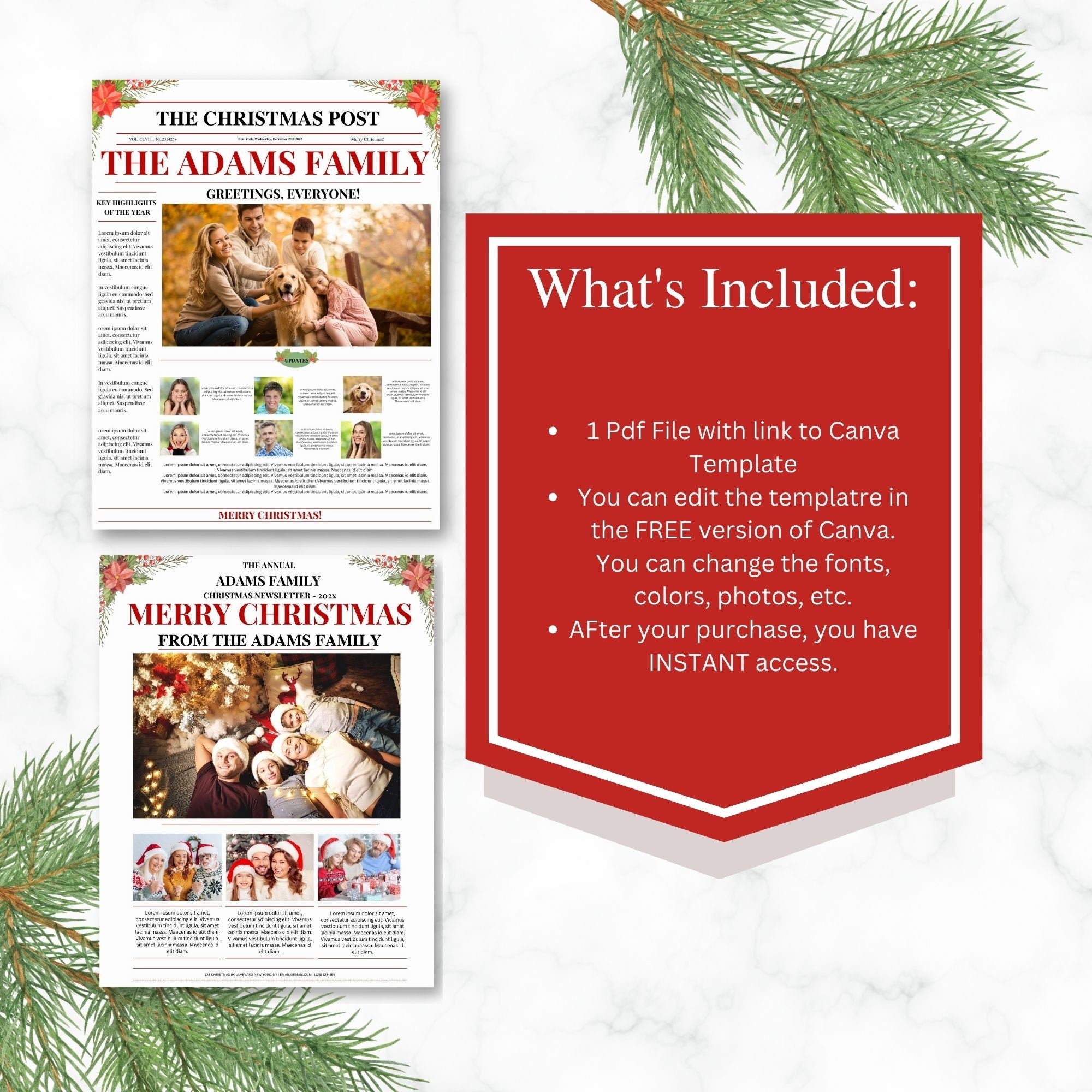 Family Christmas Newsletter Template, Editable Year In Review (Printable Template)